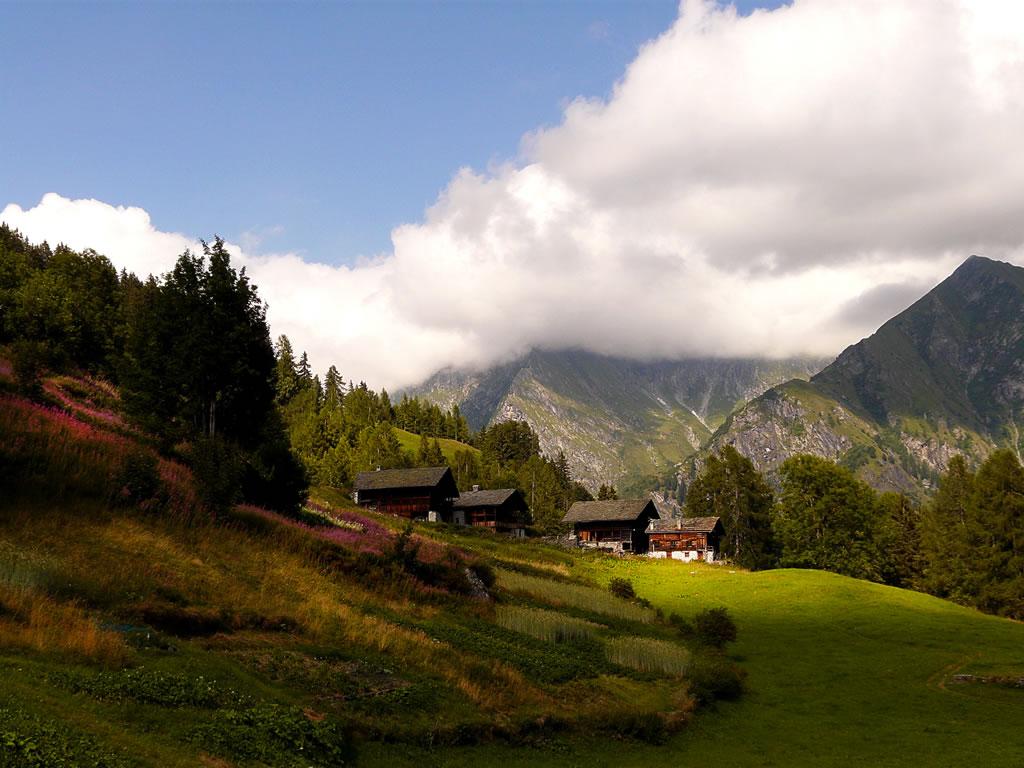 The Val d’Otro Walser meadows